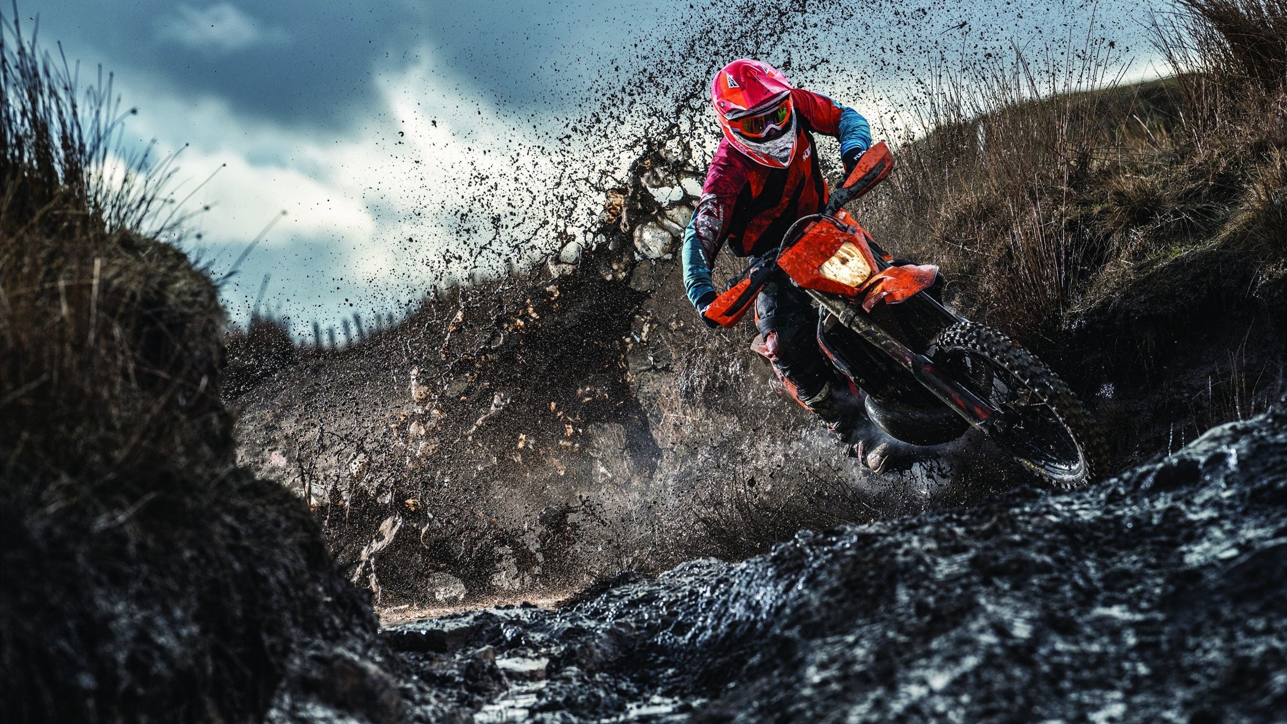 健身饮食这样吃最有效